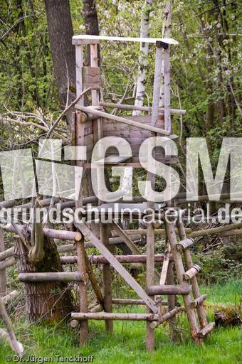 Hochstände (94 von 154).jpg